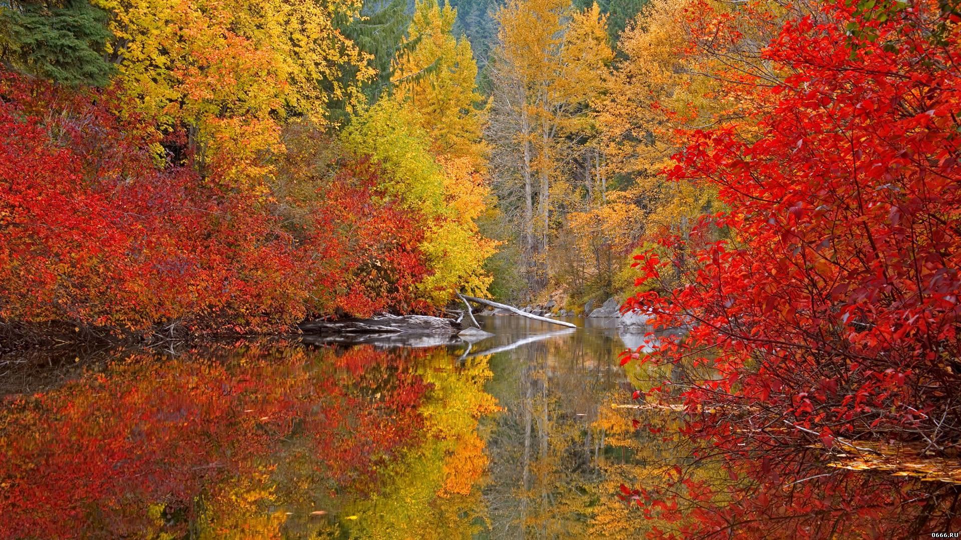 Осень холодная