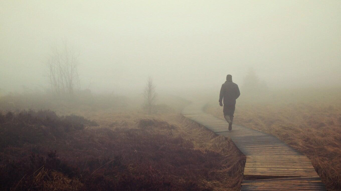 Прогулка в тумане