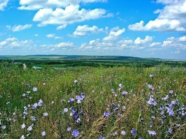 Чувство венчальное