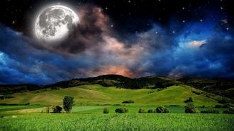 Высшая Воля