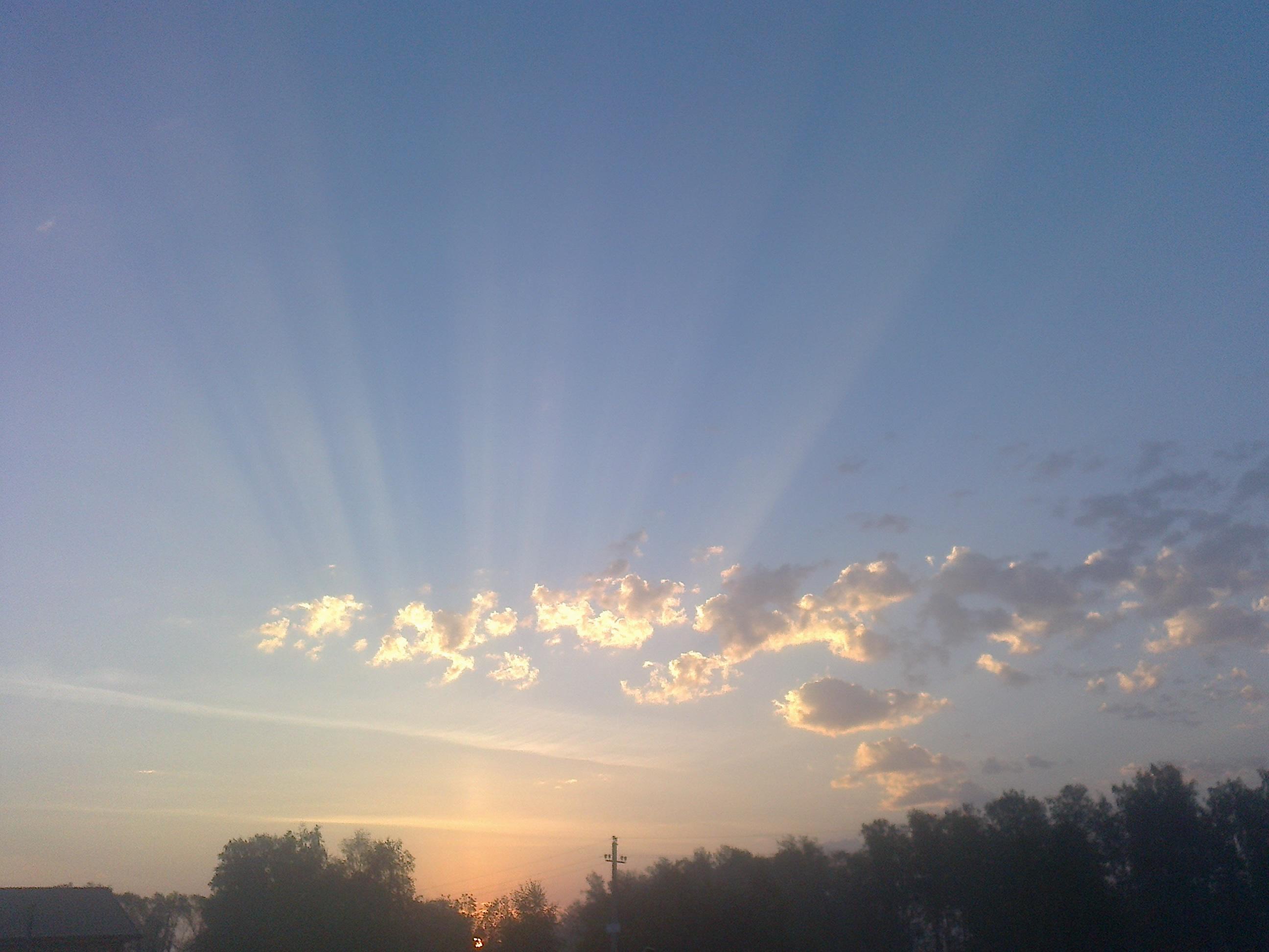 «Программа на позитив»