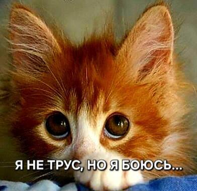 Я не трус, но я боюсь...