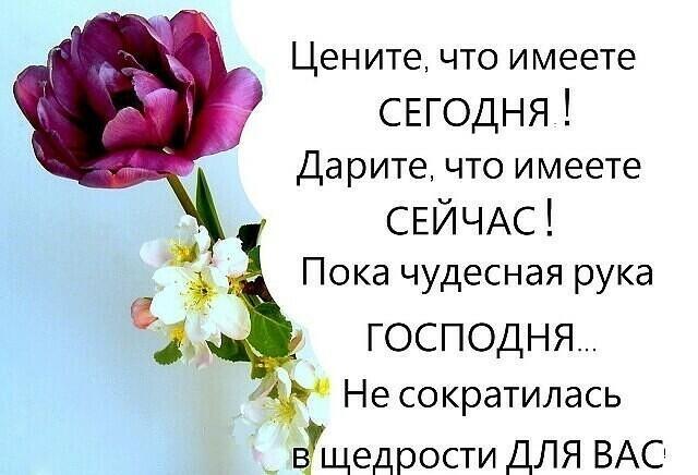 Не умеем счастьем дорожить