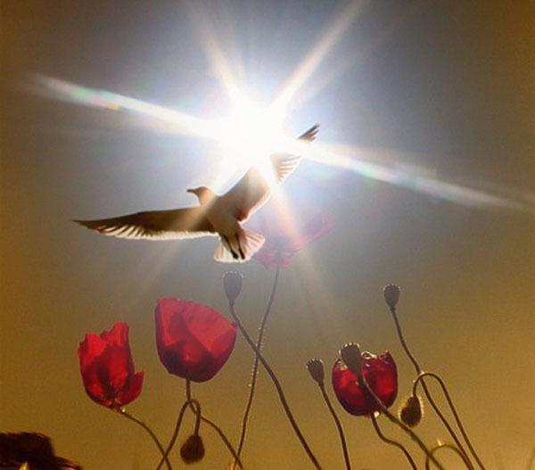 Этот безумный жестокий мир...