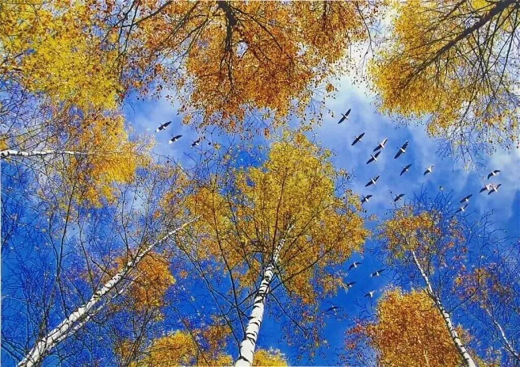 СТАЯ  УЛЕТАЕТ  В  ЛЕТО