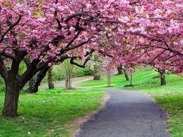 Сонет о весне и любви