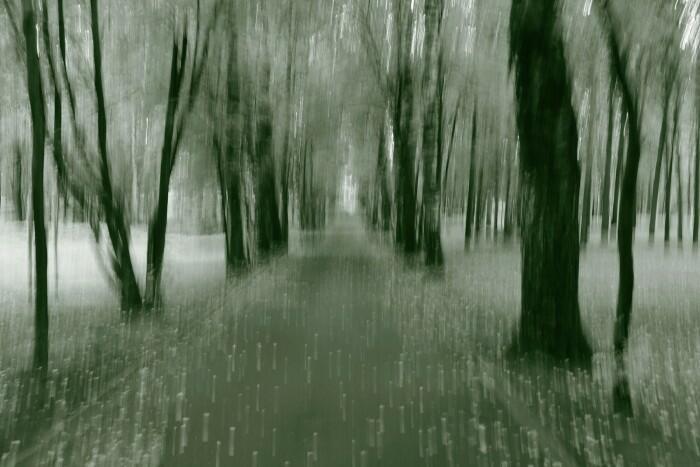 Ноябрьское...