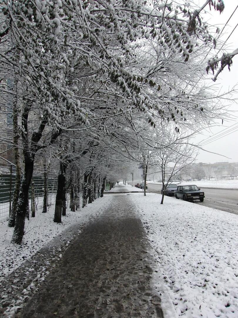 Первая метель