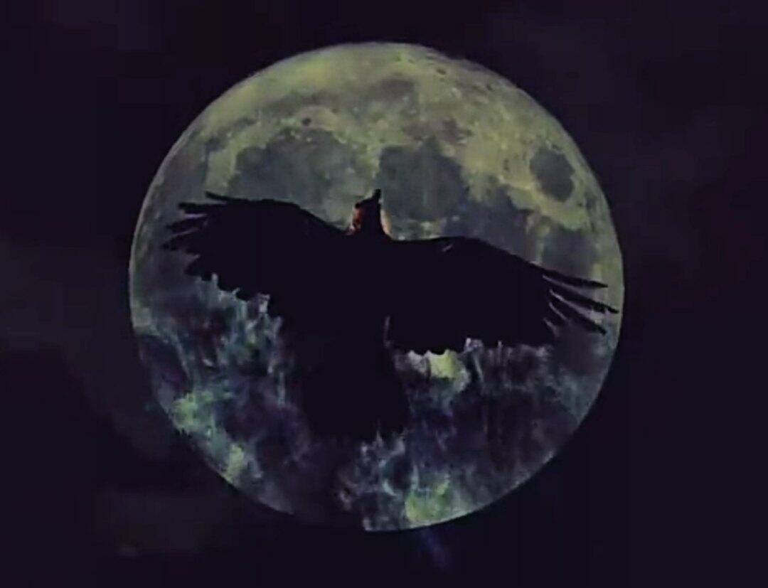 Разбуди во мне ярость!