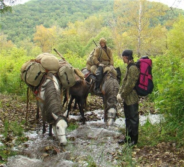 Дорога к дому