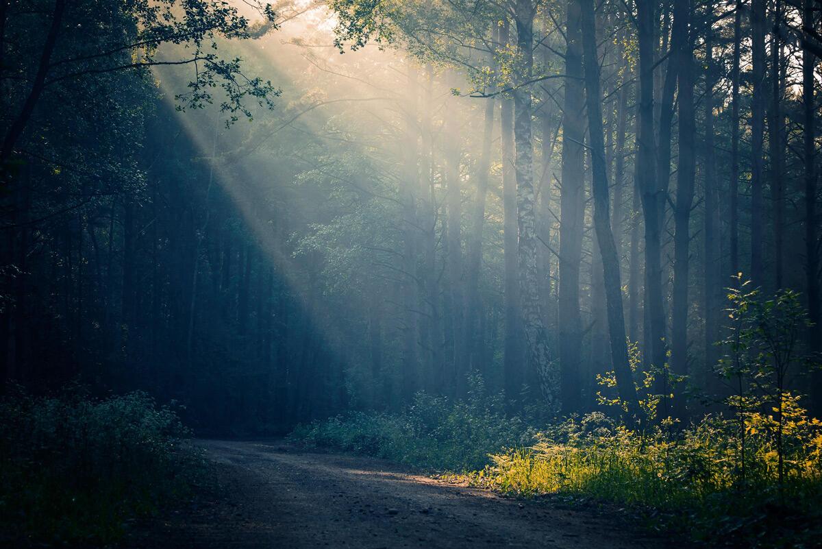 Плачет небо проливным дождём