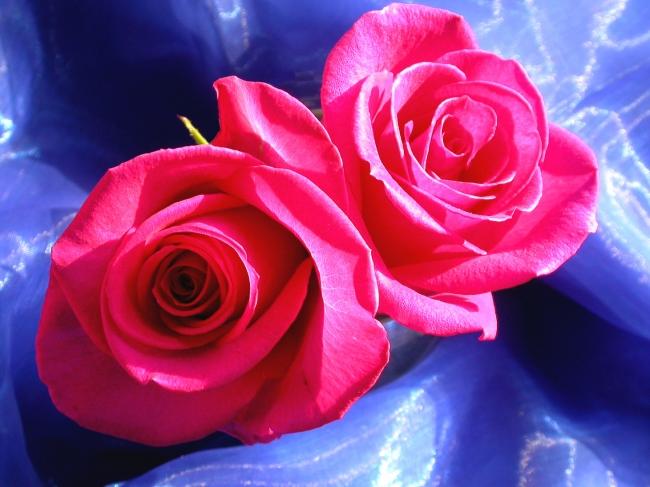 Чти Господа и Он благословит