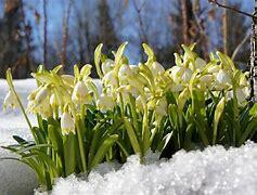 А ЗАВТРА НА РАБОТУ. ГАЛИНА ДЁМИНА. В СОАВТОРСТВЕ ГВОЗДОВСКИЙ ПАВЕЛ.