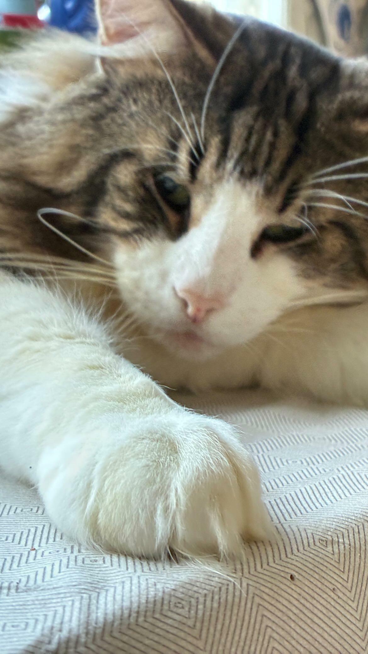 Последние выходные осени