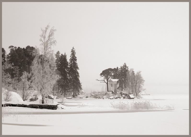 Зимний Монрепо (А.Ладыгин)