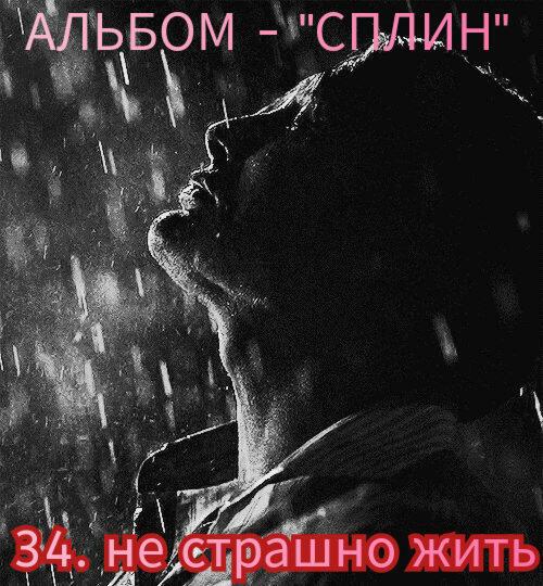 34. НЕ СТРАШНО ЖИТЬ.. 