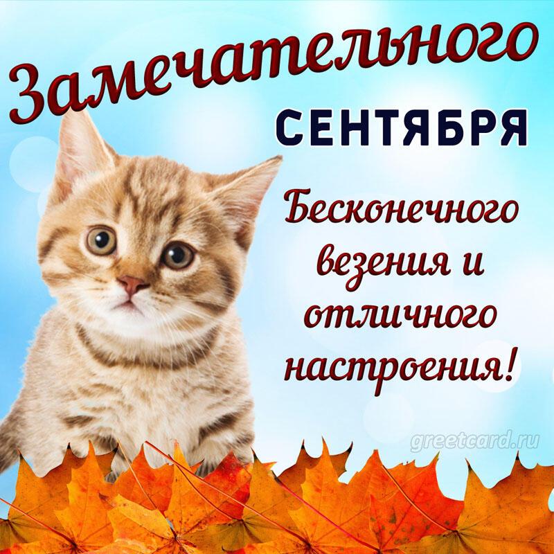 ОСЕНЬ С ЛЕТНИМ ОТЛИВОМ. АКРОСТИХИ