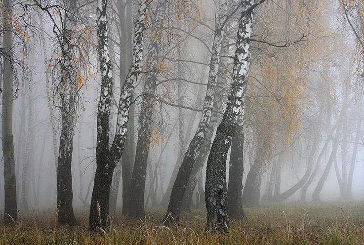 Осеннее