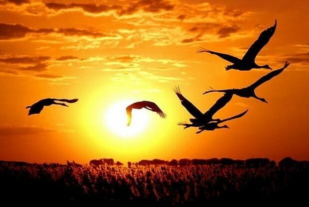 Прощается август