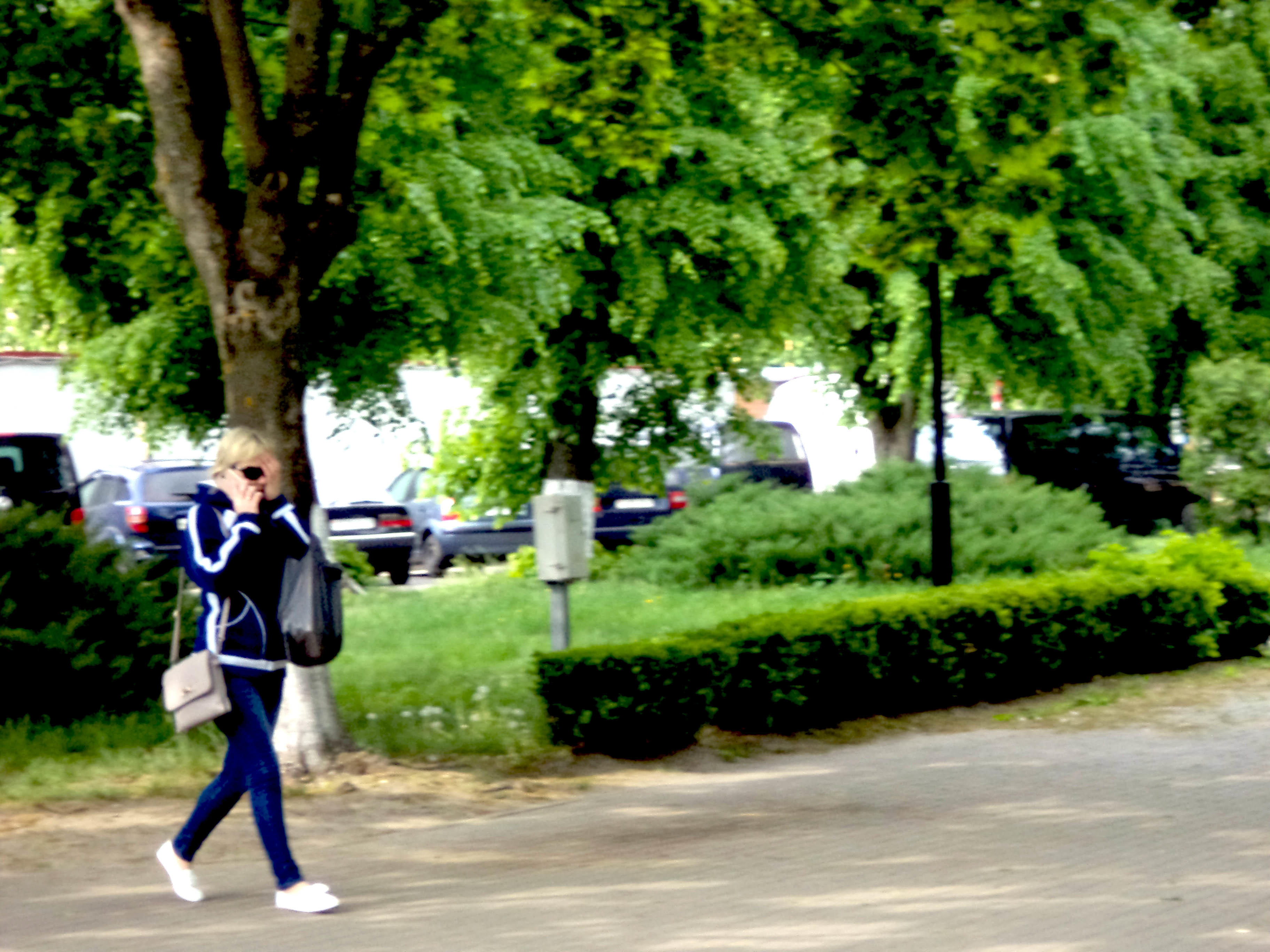 Насаді памідорк