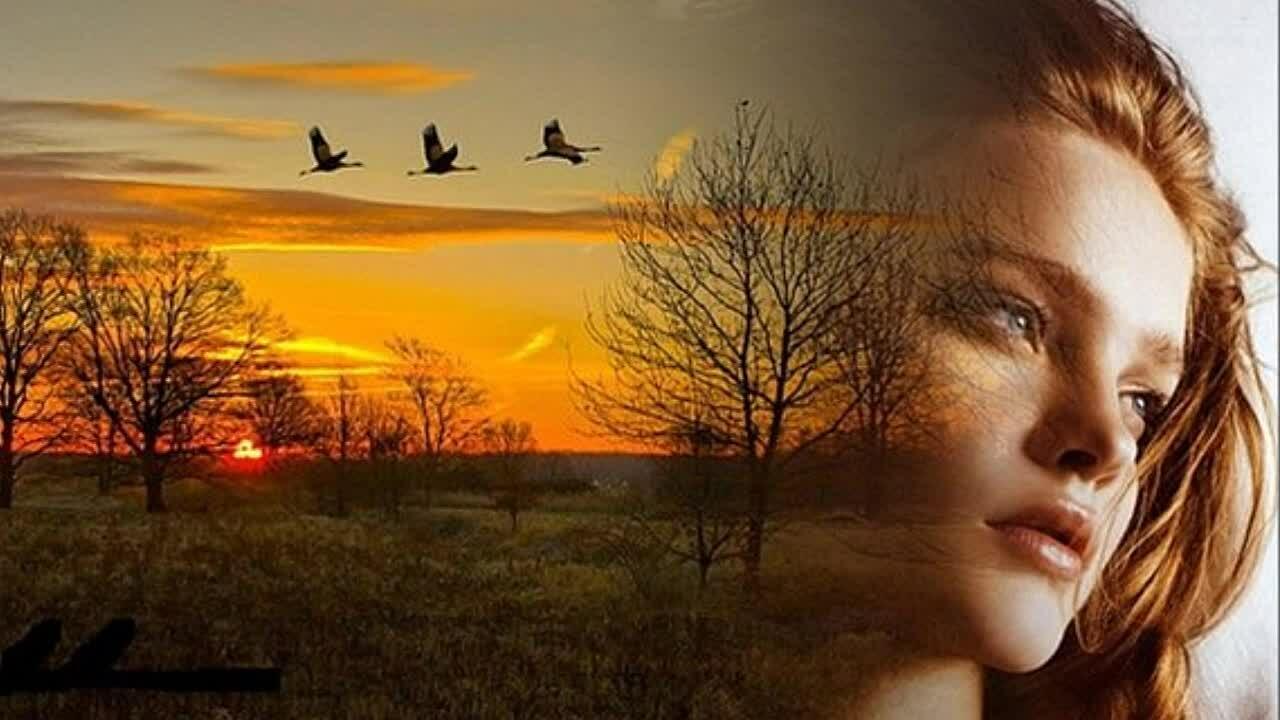 Любовь моя запоздалая...