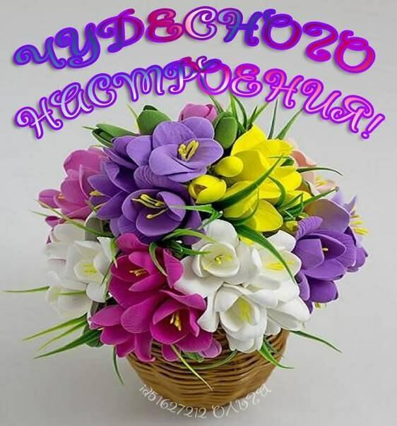 ВСЕМ ЗНАКАМ ЗОДИАКА