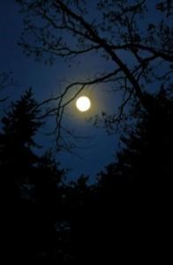 У костра.Ночевка в каньоне Кучук - Карасу