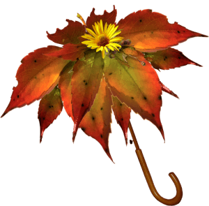 Красотка-Осень