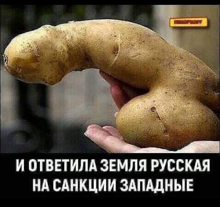 И ответила земля русская...