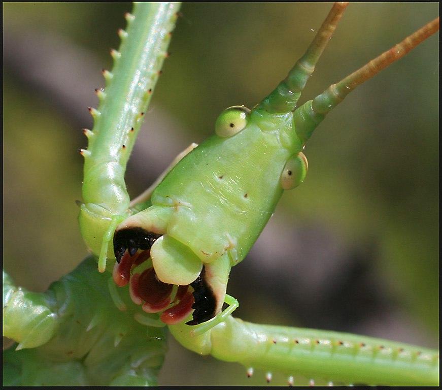 На этом свете