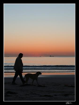 Притча о дружбе и выборе...