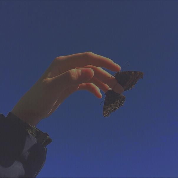 Незнакомцу