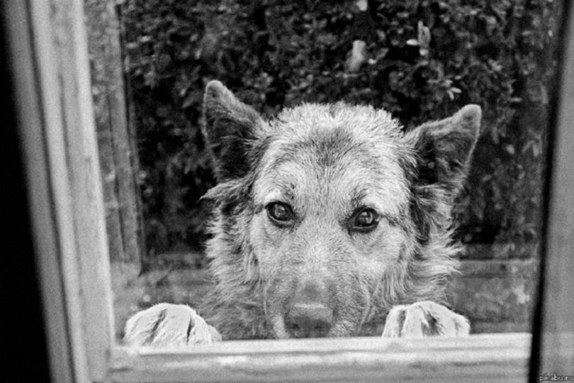 "Я опять проиграл..." (05.06.2017)