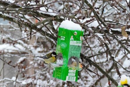 отличные хайку