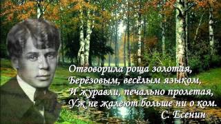 То, что горько, то несладко