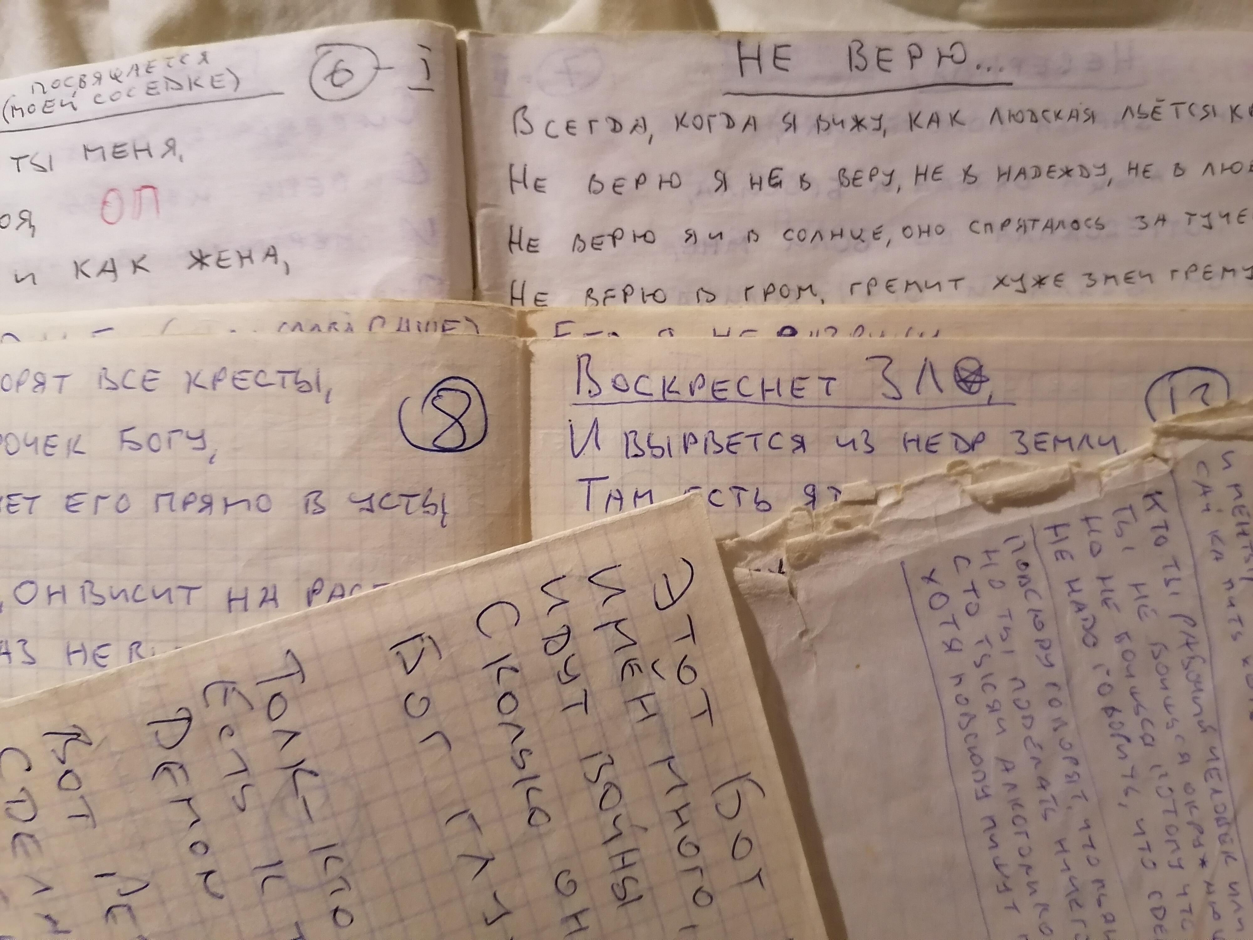 Страницы, словно птицы 