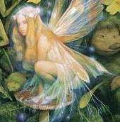 про гиацинтовых фей...