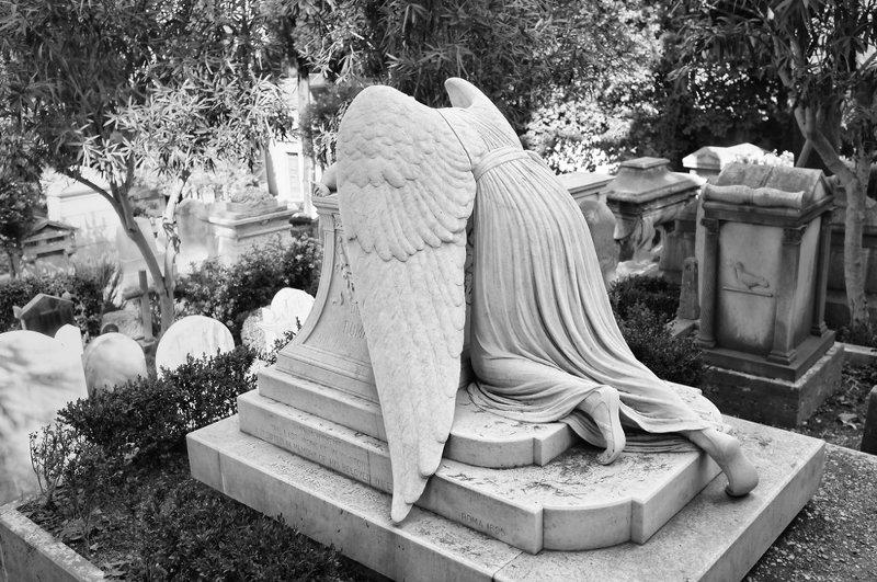 Я только эхо...