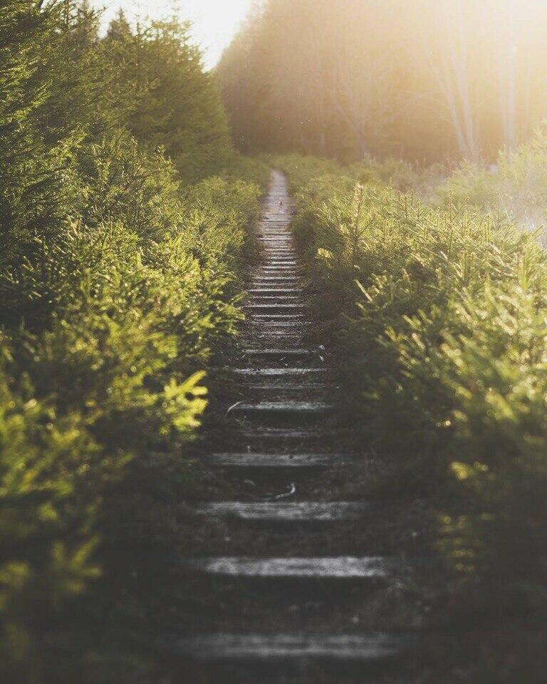 "Моё убеждение" (07.08.2019)