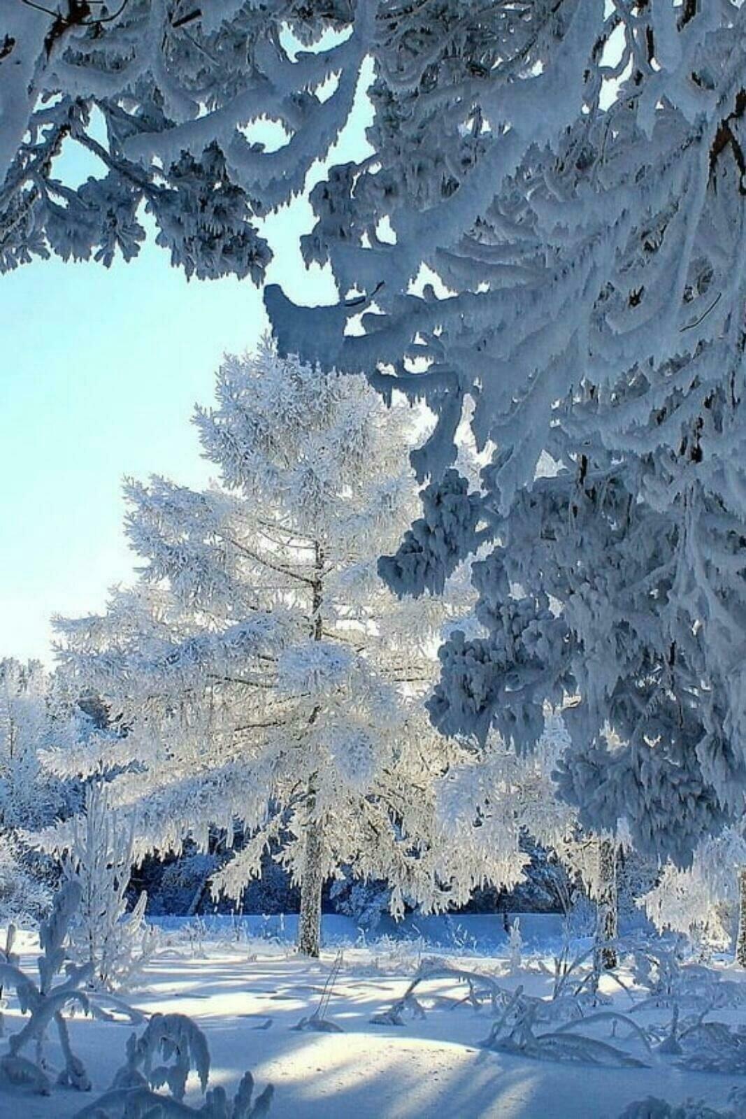 ТИХО КРУЖАТСЯ СНЕЖИНКИ