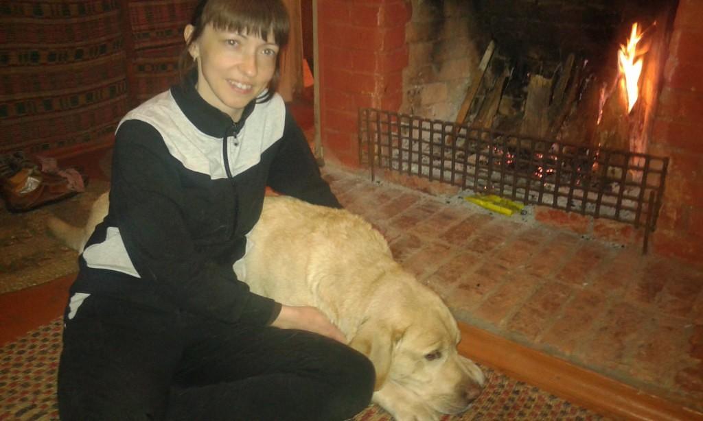 Лабрадору Гаю