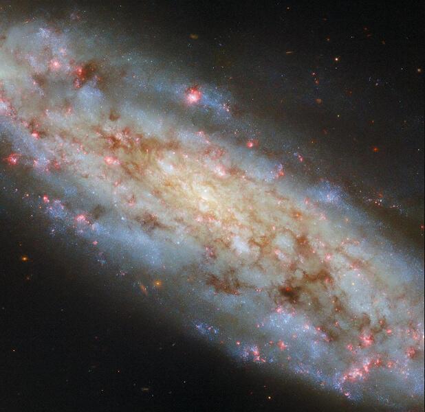 Свет и Тьма