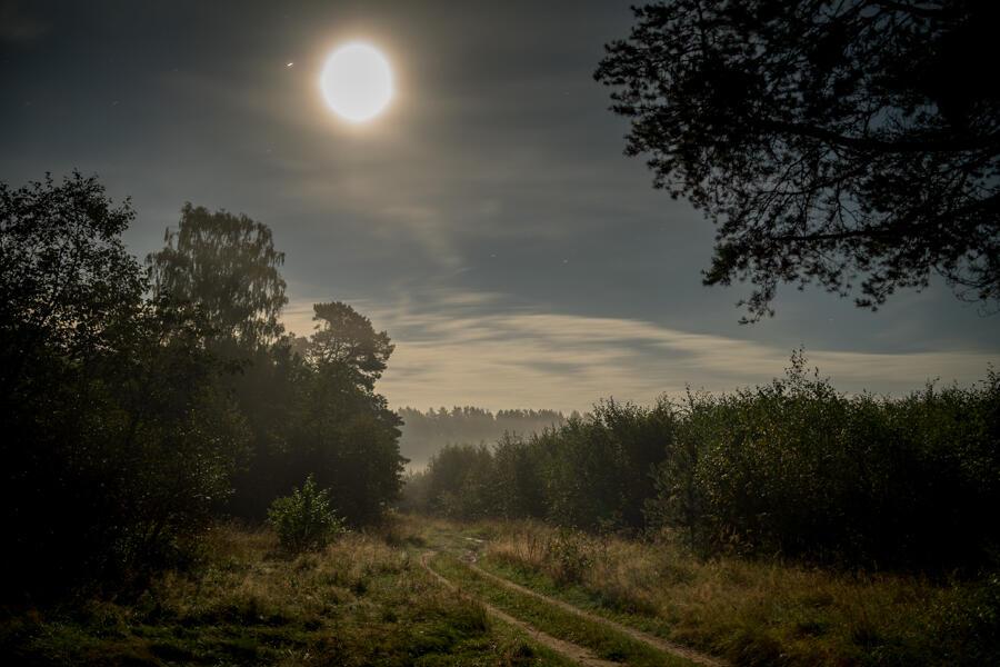 ГРЁЗЫ  ДЕТСТВА