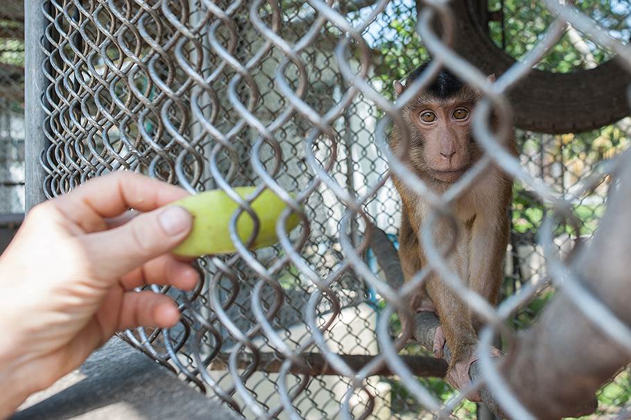 Маленькая злодейка из Нижнего Новгорода