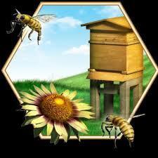 МНЕ БЫ МЁДА