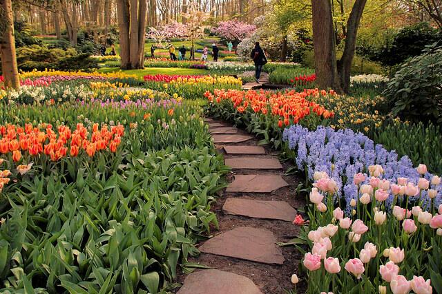 БОГЕМСКИЙ САД, ЛЮБВИ ОТРАДА...