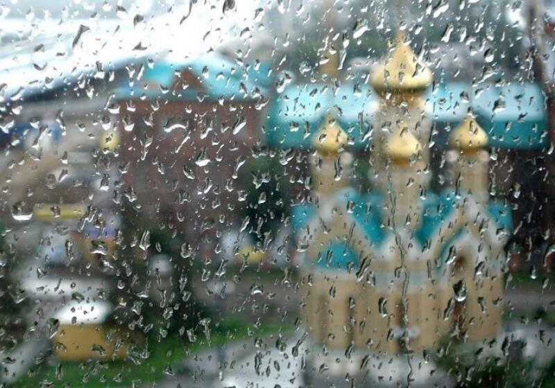 И двор зарос травой...