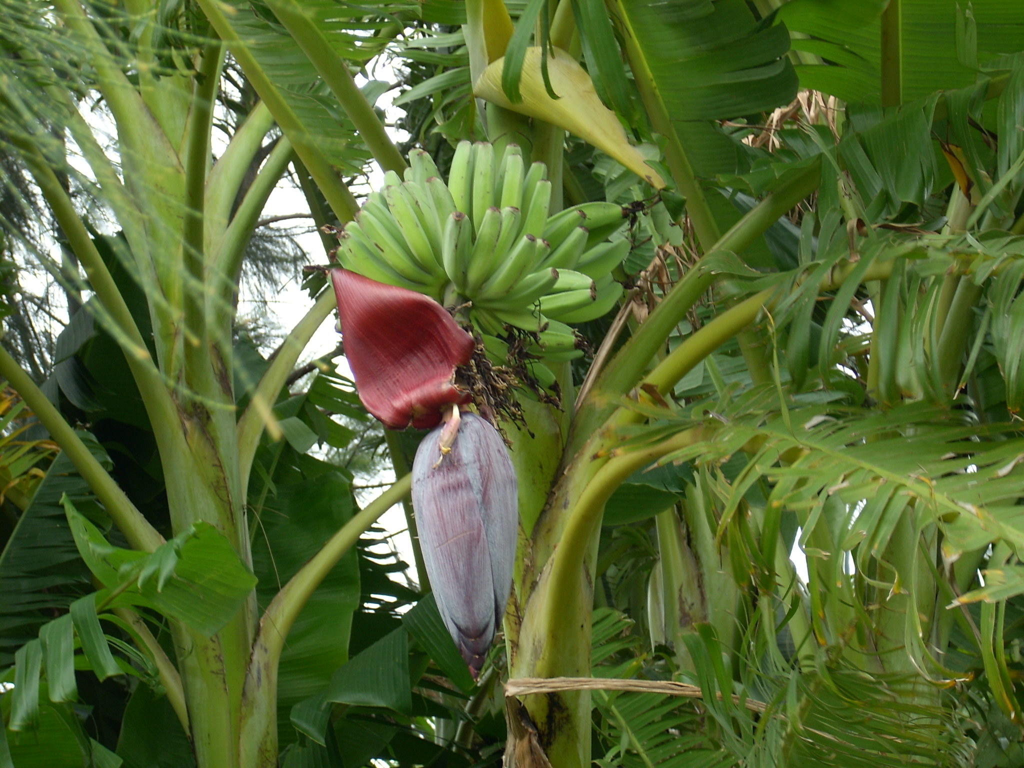 Ты никогда не жди себе хвалы