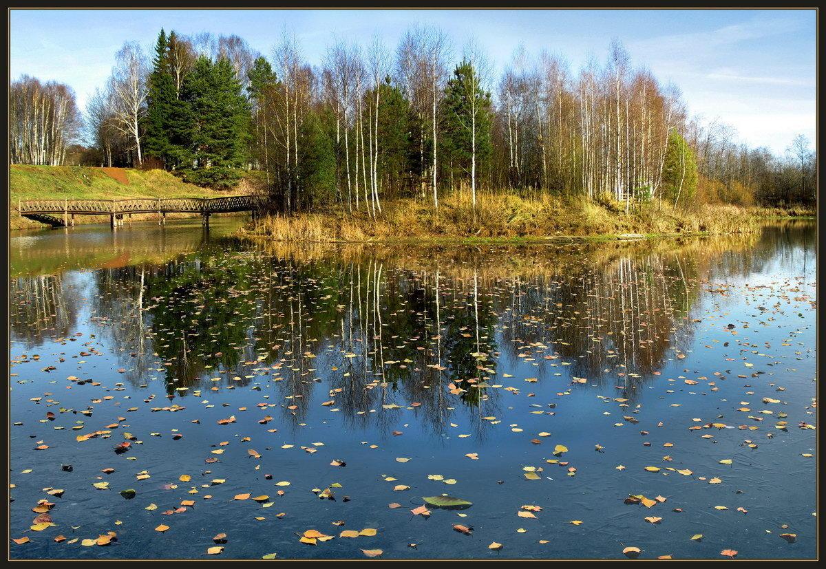 Уж роща. Октябрь месяц природа. Октябрь фото природы. Месяц октябрь фото. Сентябрь уж на дворе.