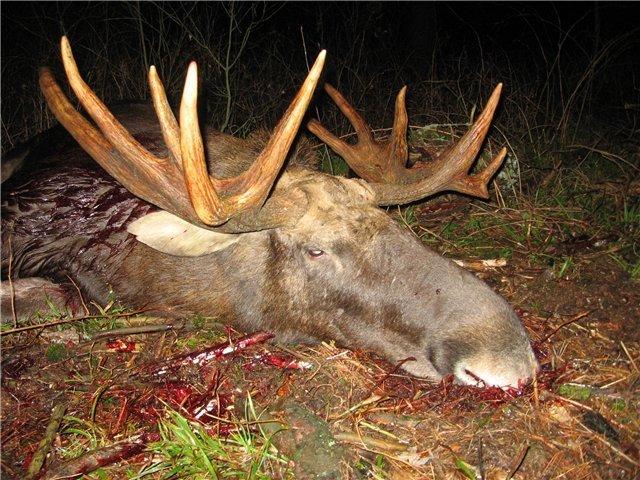 Родные края